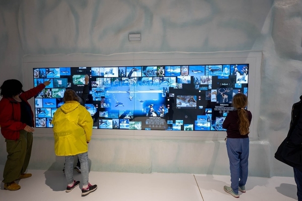 Ice Magic Wall