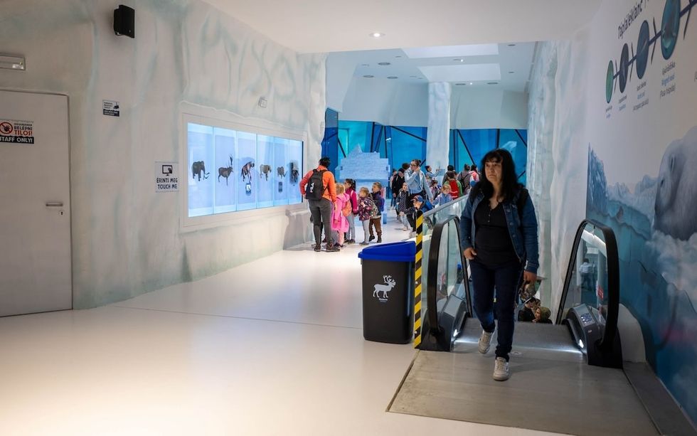 Ice Magic Wall