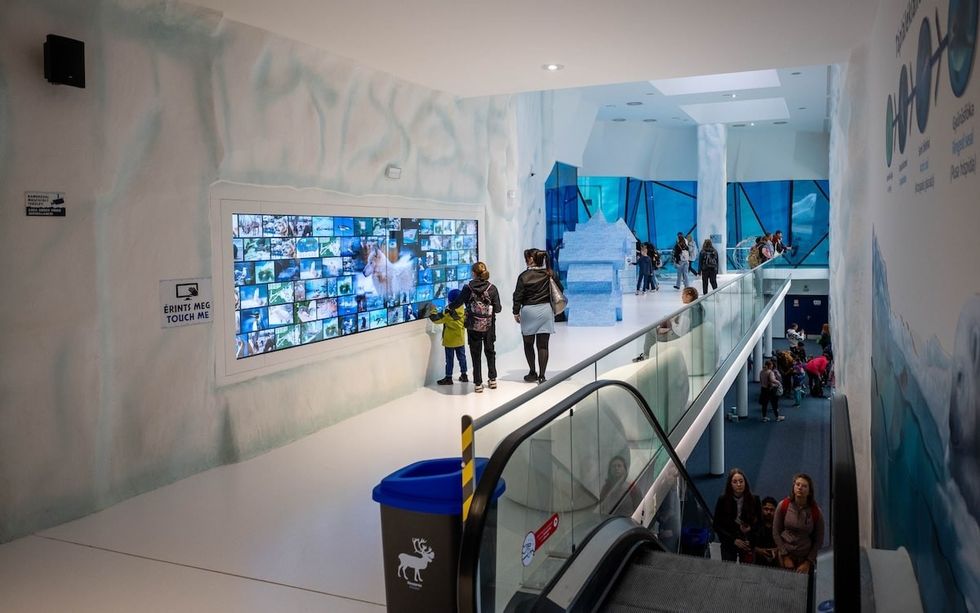 Ice Magic Wall