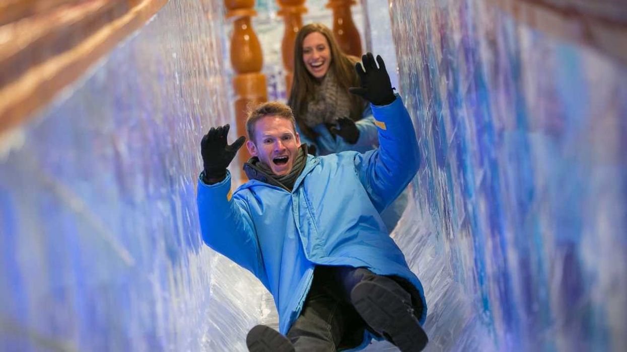 ICE slide christmas at gaylord palms