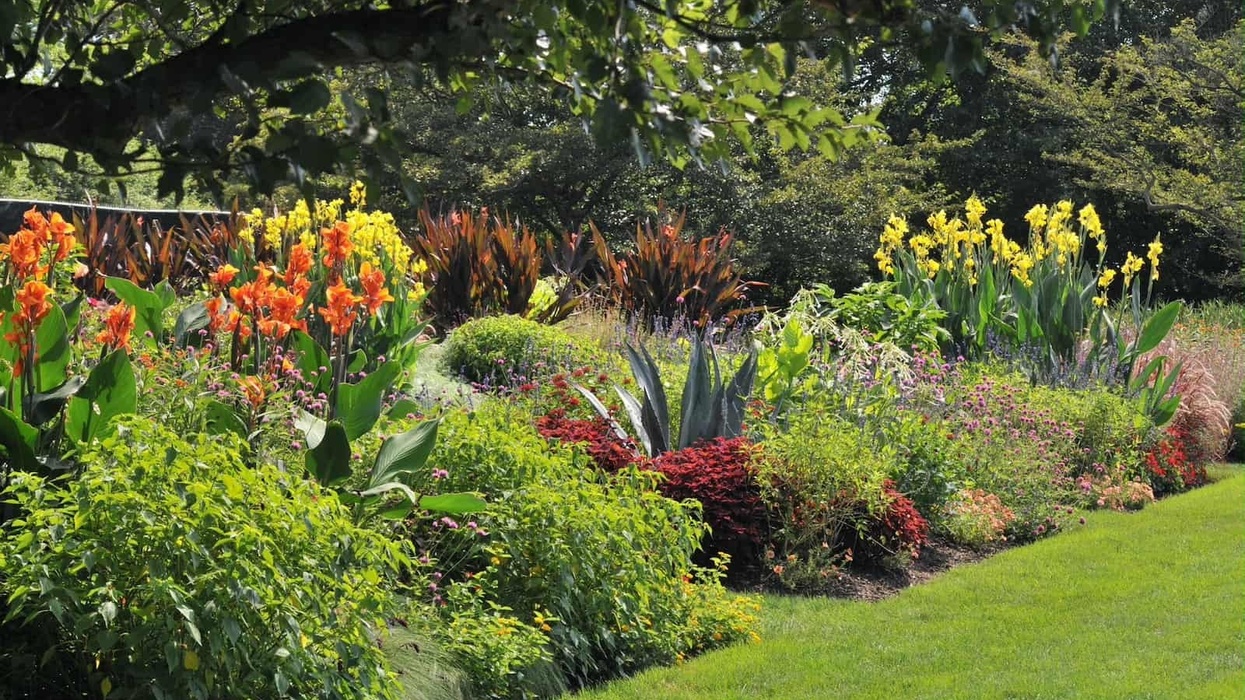 Idea Garden