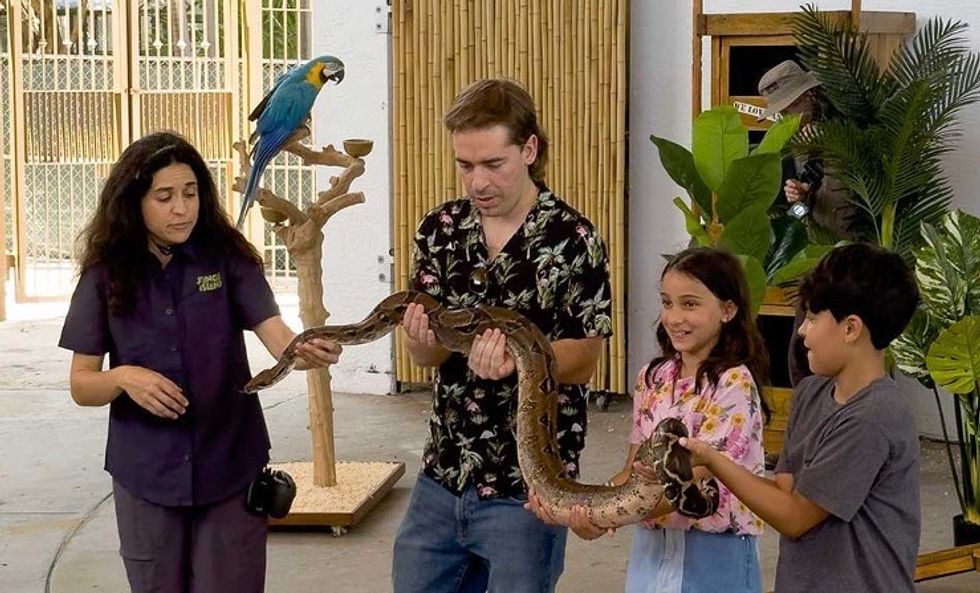 IDEAS storylearn zoo