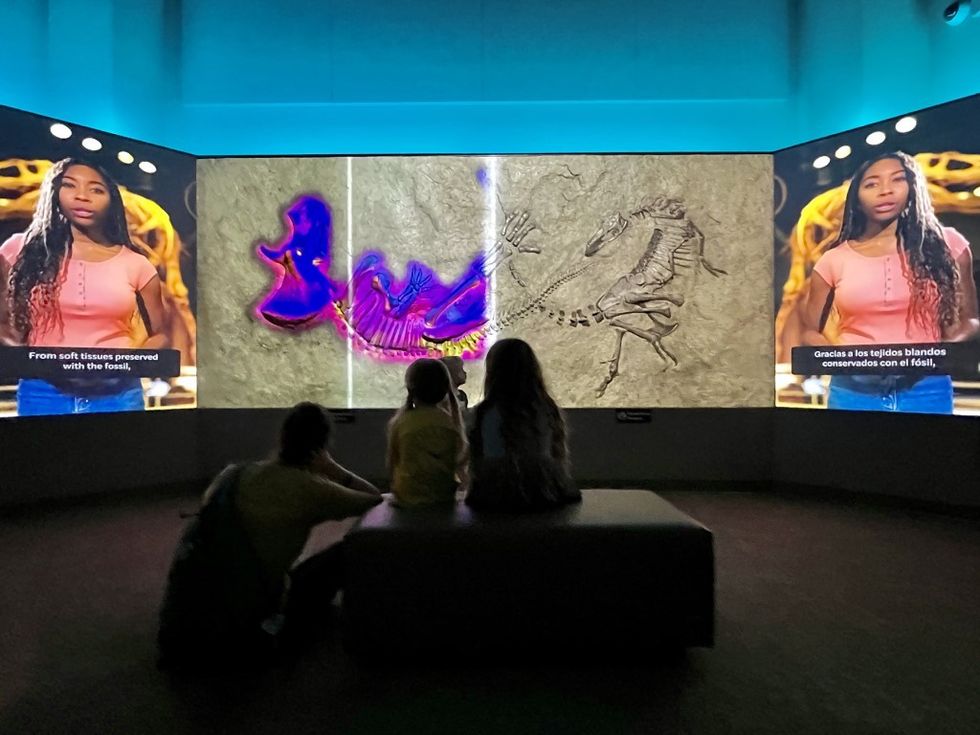 Ideum creates 3D displays for Dueling Dinosaurs at the North Carolina Museum of Natural Science
