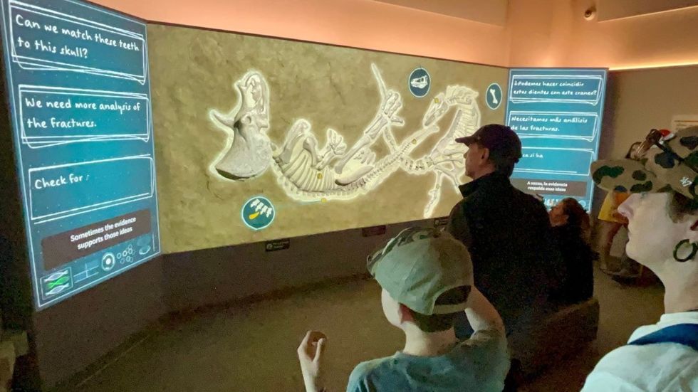 Ideum creates 3D displays for Dueling Dinosaurs Fossil Block Theater