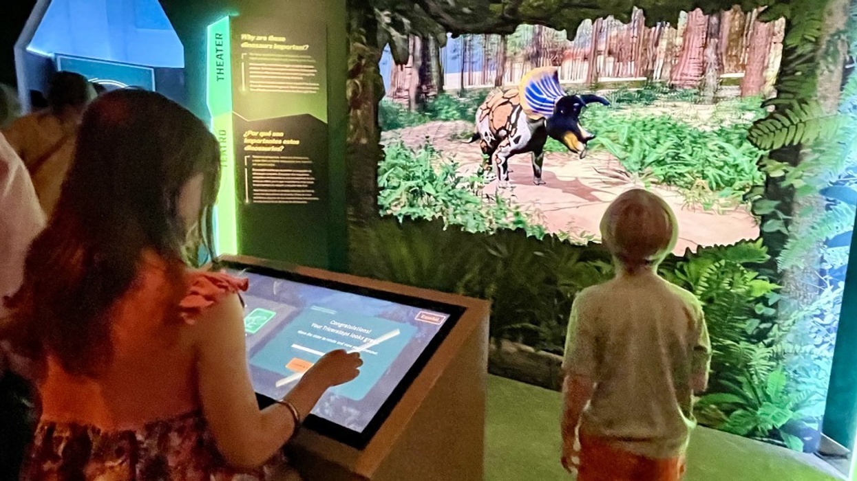 Ideum creates 3D displays for Dueling Dinosaurs