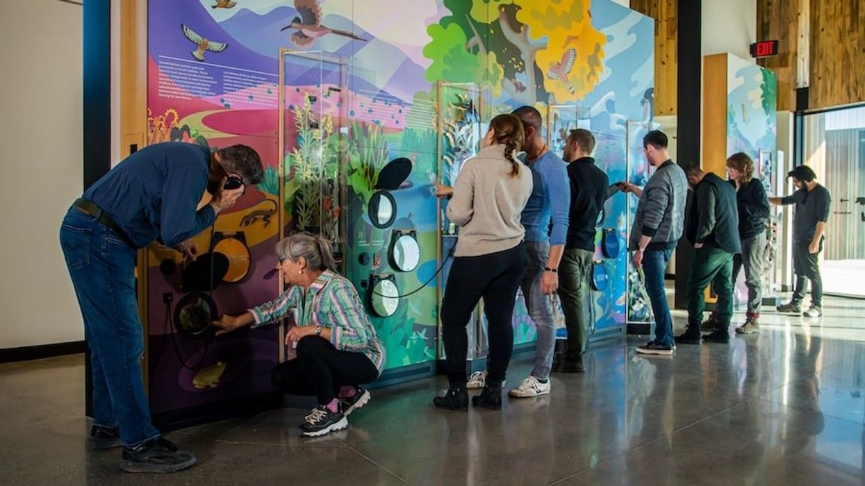 Ideum Exhibits Valle de Oro National Wildlife Refuge