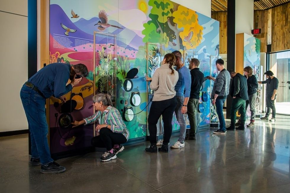 Ideum Exhibits Valle de Oro National Wildlife Refuge