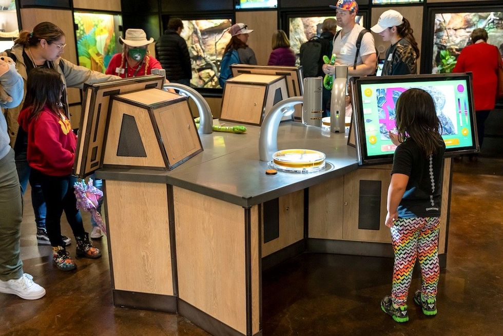 Ideum microscope stations Wildlife Explorers Basecamp San Diego Zoo