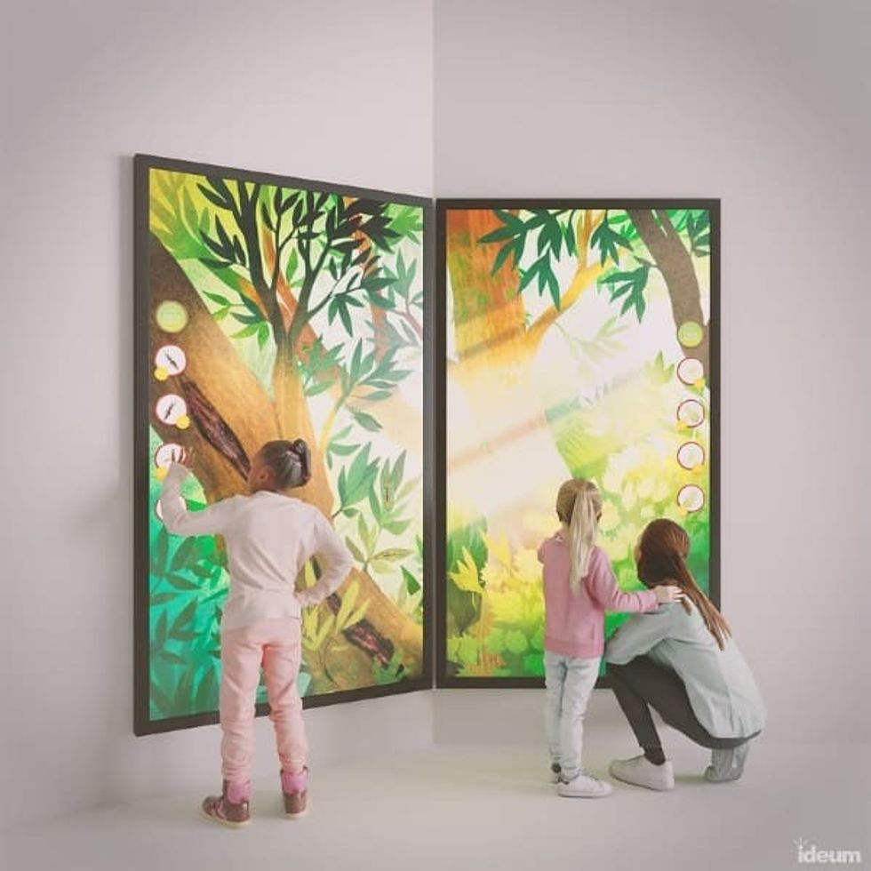 Ideum San Diego Zoo Stick Insect Exhibit