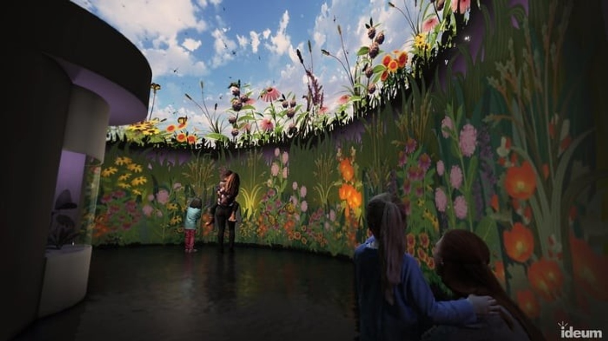 Ideum Wildlife Explorers Basecamp