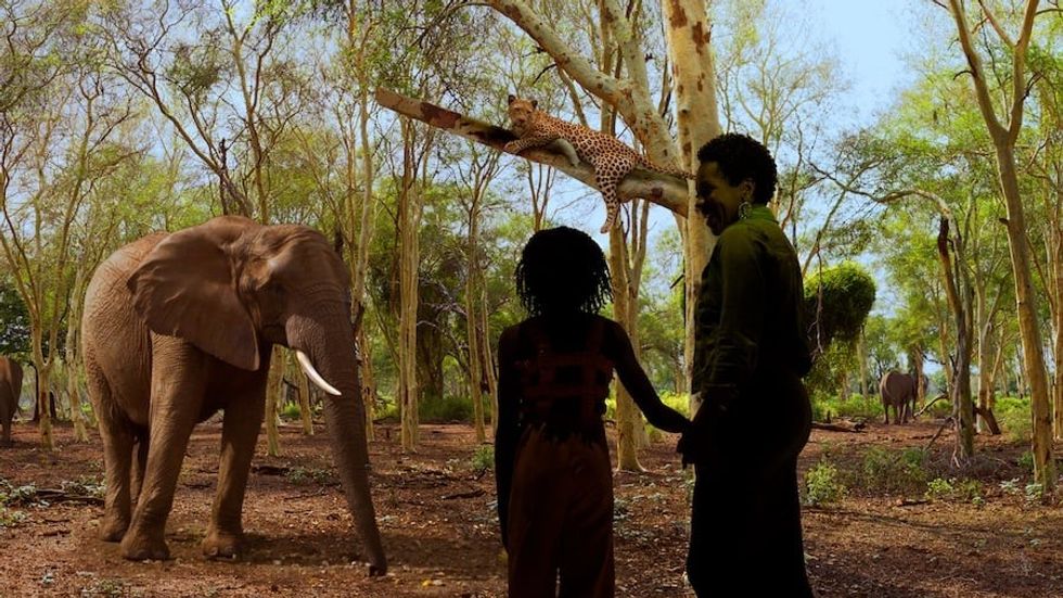 Illuminarium wild safari elephant