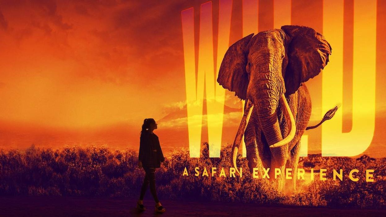 Illuminarium Wild Safari