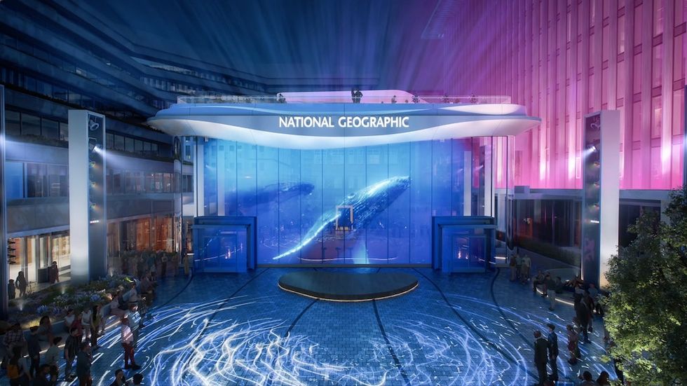 Illuminated National Geographic venue with projected whale visuals and vibrant lighting.