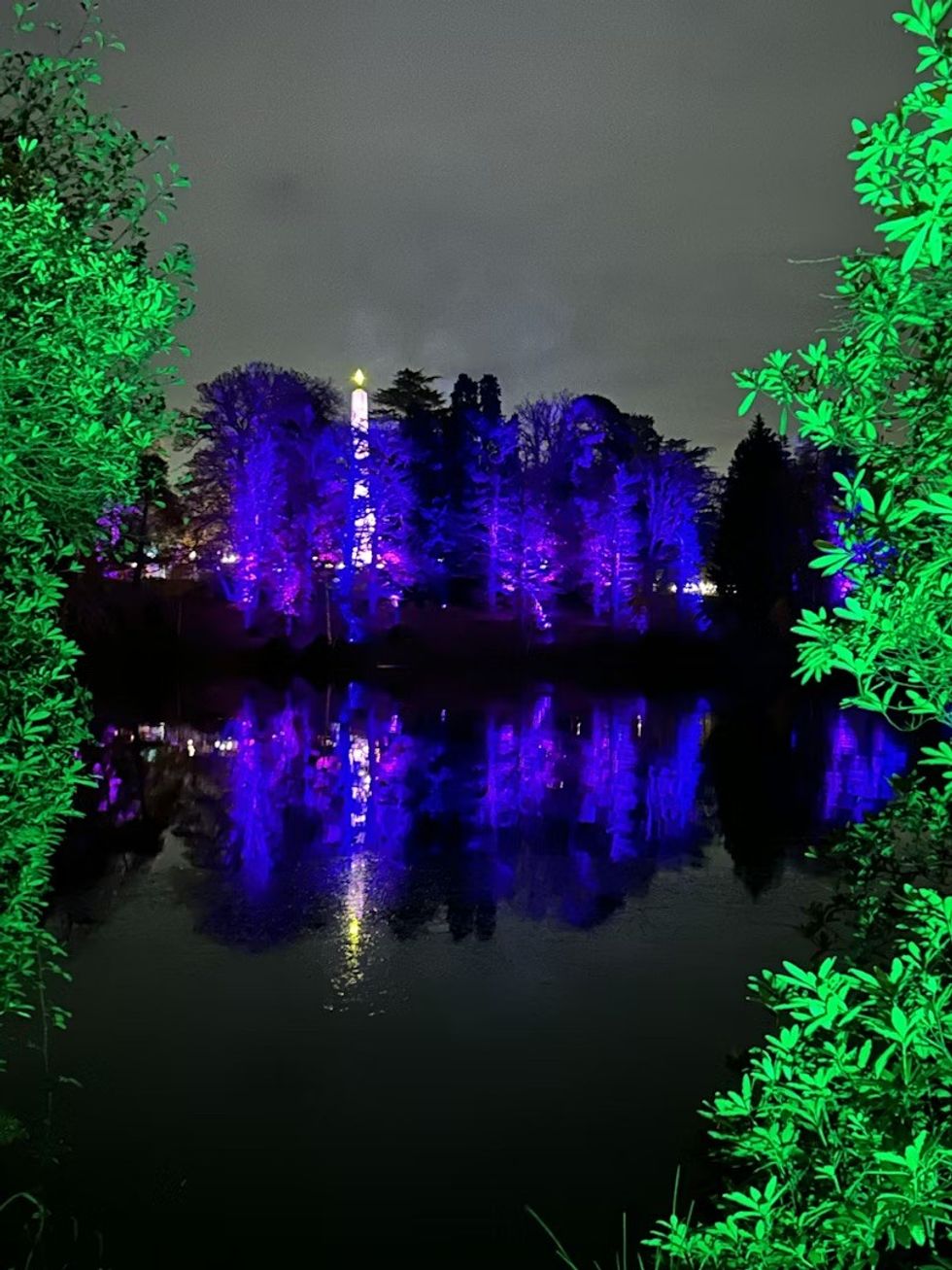 Illuminated trees in vibrant blue and green reflect on a dark, tranquil lake at night.