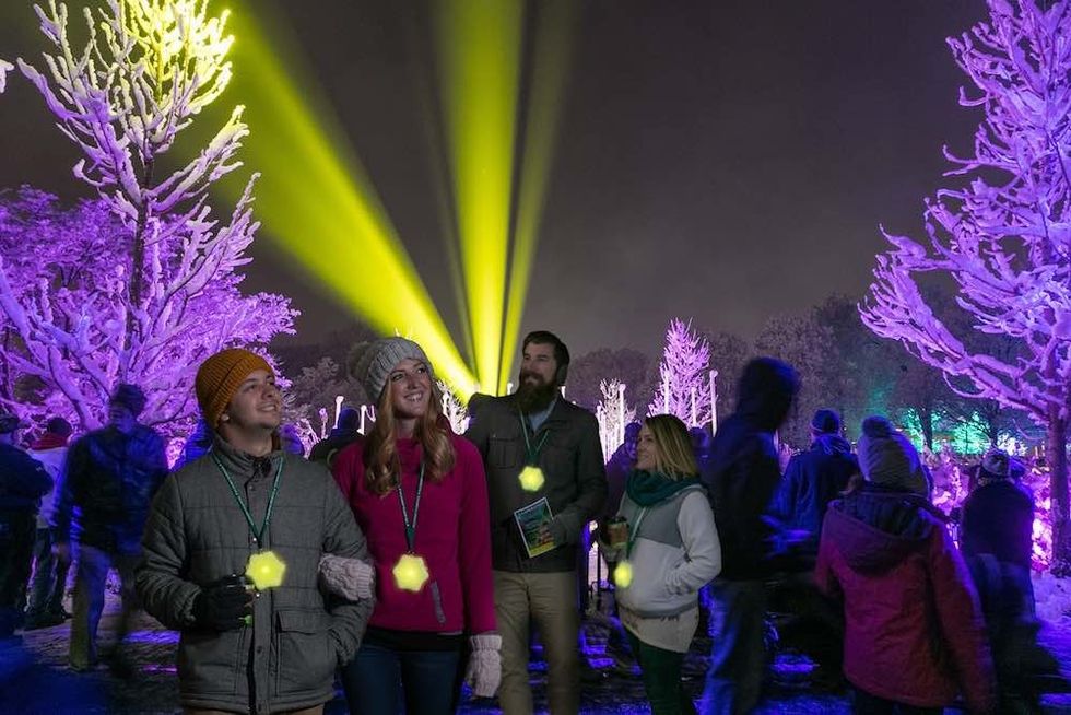 illuminations at morton arboretum