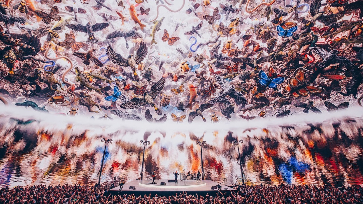 Image credit: Rich Fury