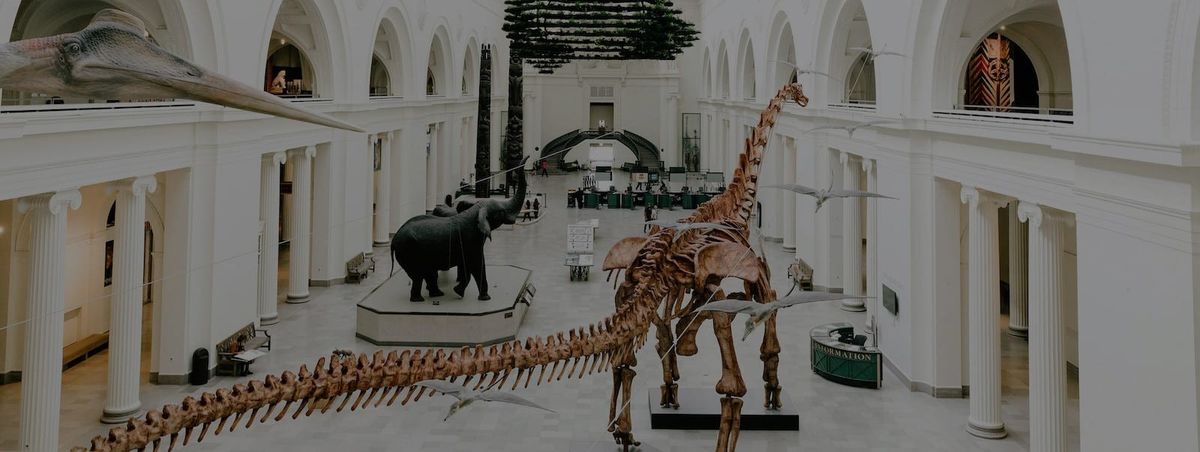 Coronavirus: how museums are providing alternative education