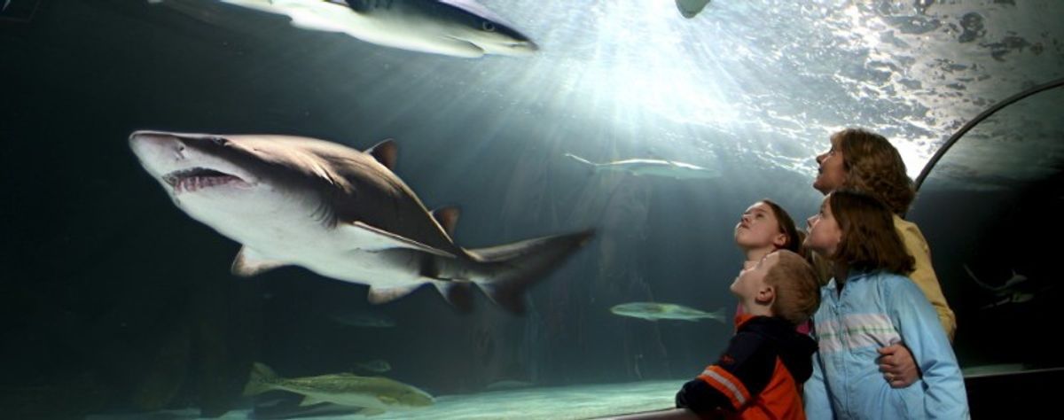 Merlin Entertainments' Glenn Earlam on "Brands with Unlimited Potential"