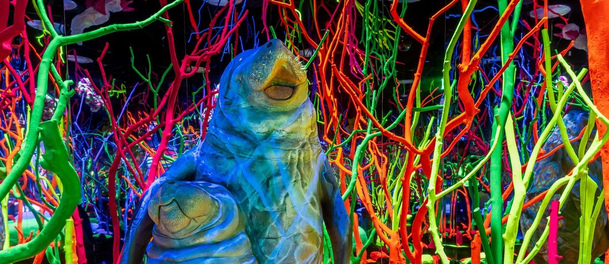 Painting the world Meow Wolf with Vinny Nicoletti