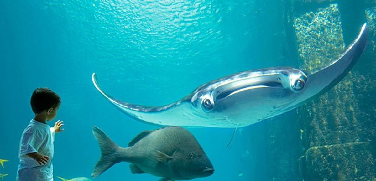 The Quality of Water: The Second Aquality Symposium for Zoos and Aquariums