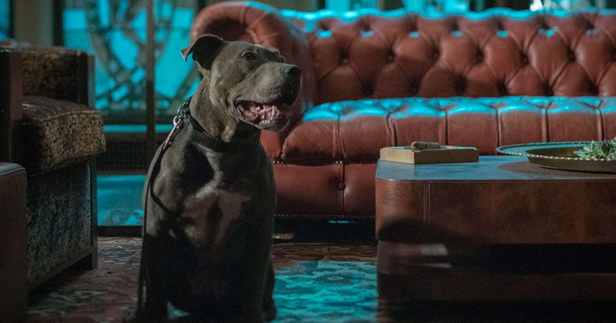 Immersive experiences at Hard Rock: John Wick  and more