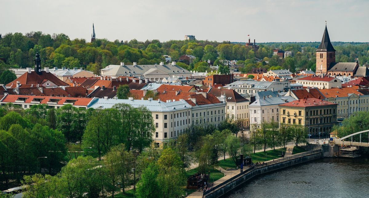 Momentum 2024: exploring memory & the future of museums