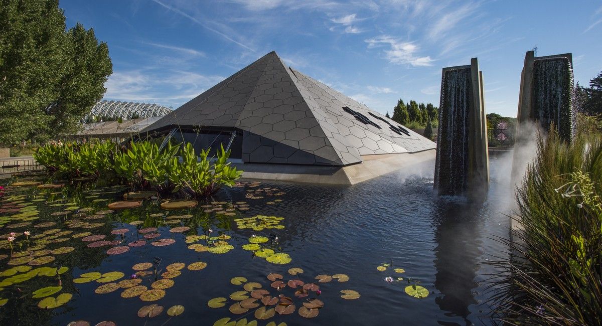Denver Botanic Gardens: the Power of Flowers