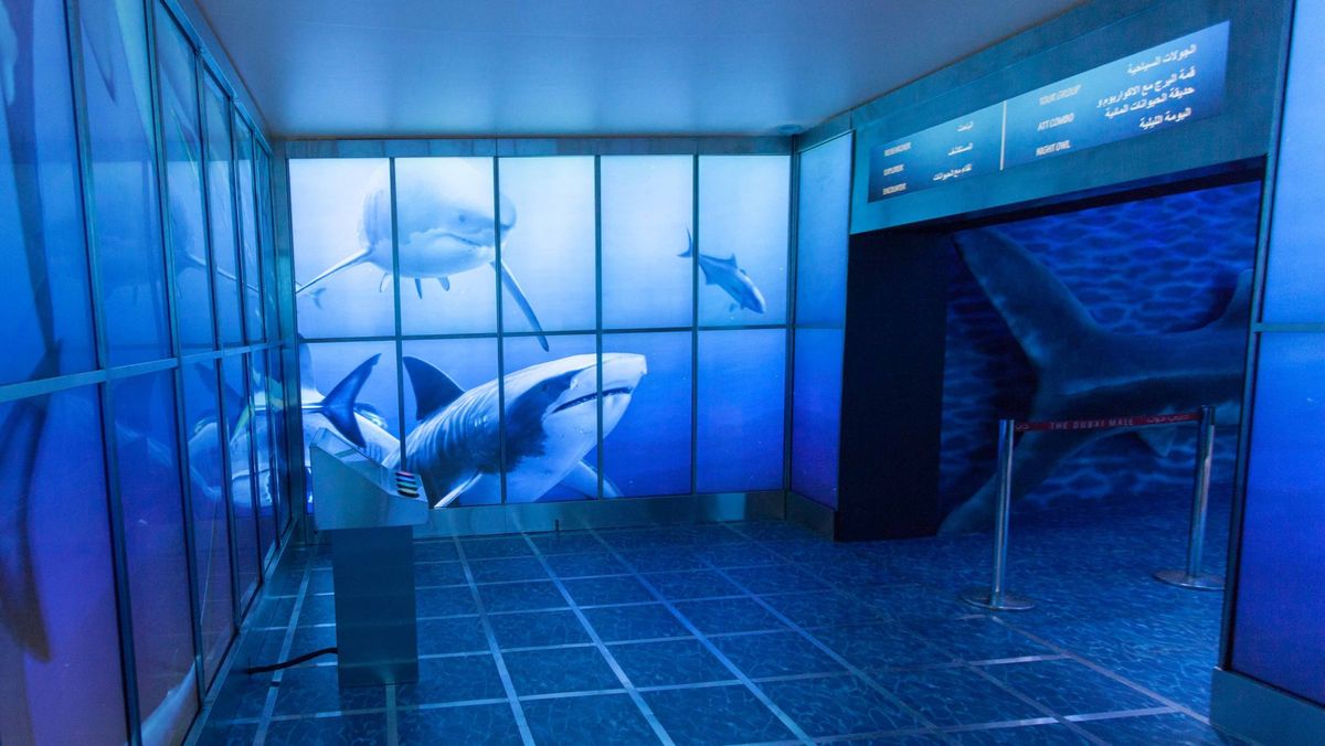 Shopping with Sharks: Dubai Aquarium and Marine Conservation in a Mall