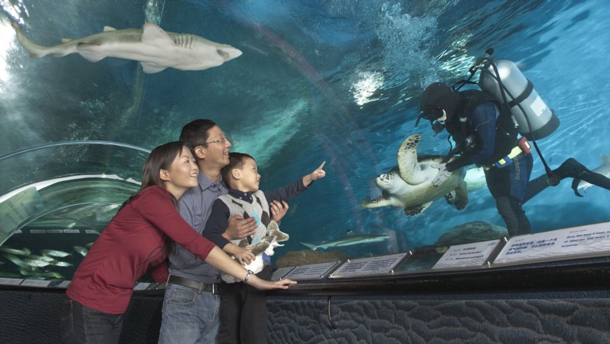 Interview with Sean Wu,  Straco Corporation: Aquarium Trends in China