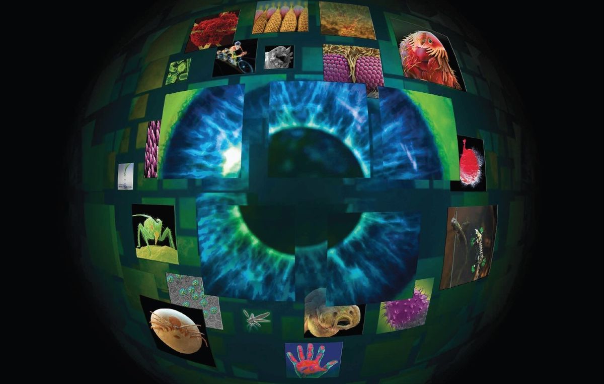 Projecting into the Future: The Dynamism of Museum Cinema