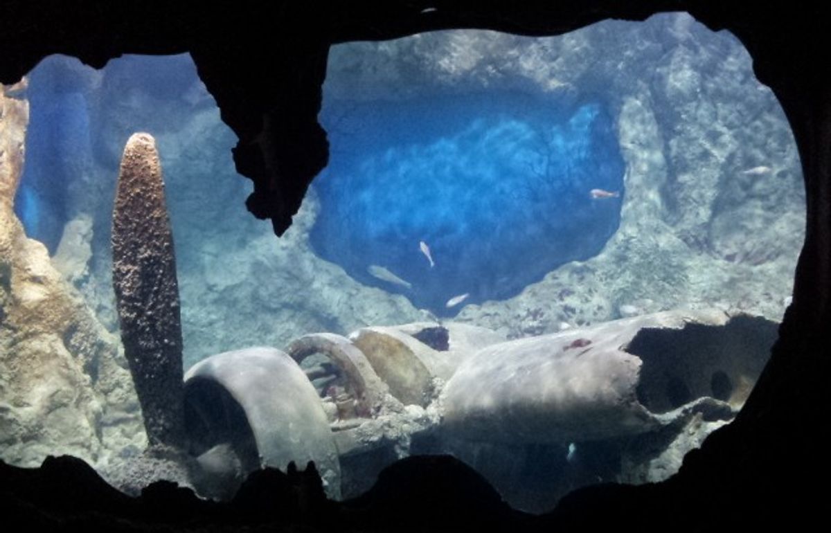 Malta's National Aquarium: a Million Litres of Learning