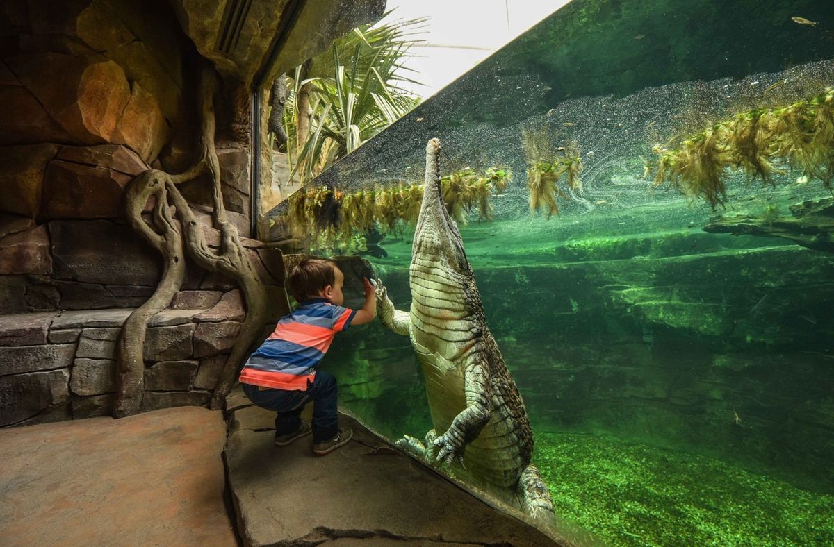Islands at Chester Zoo: Kieran Stanley on Turning Guests into Explorers