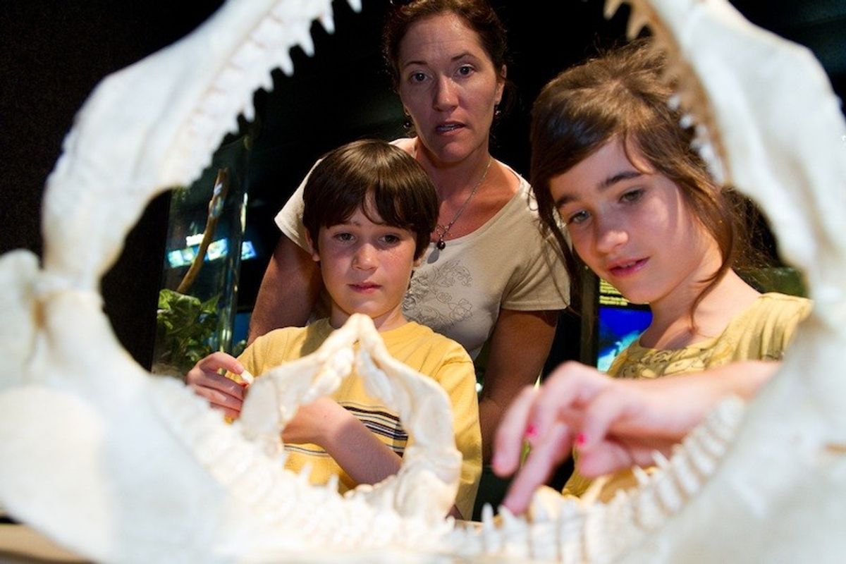 John Racanelli,  CEO,  the National Aquarium,  Baltimore on Conservation,  Education and Inspiration