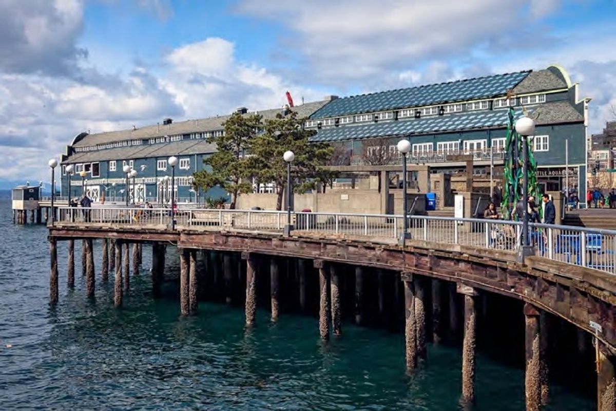 Here Comes the Sun?  Seattle Aquarium’s Community Solar Project