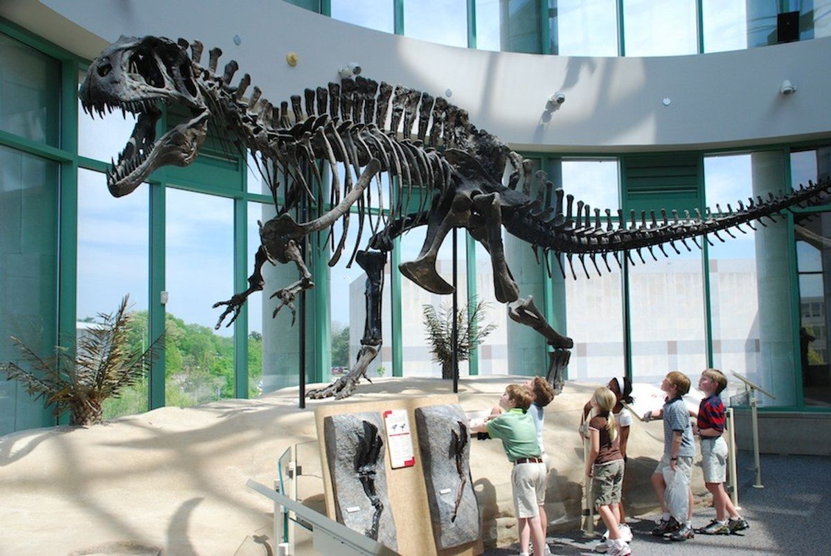 Dr Emlyn Koster,  CEO of the North Carolina Museum of Natural Sciences: Are Museums Necessary,  Not Just Nice?