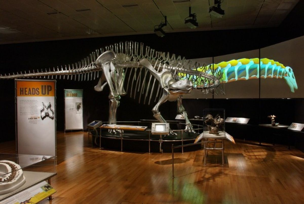 The Cleveland Museum of Natural History: Dr Evalyn Gates on Inviting People into Science