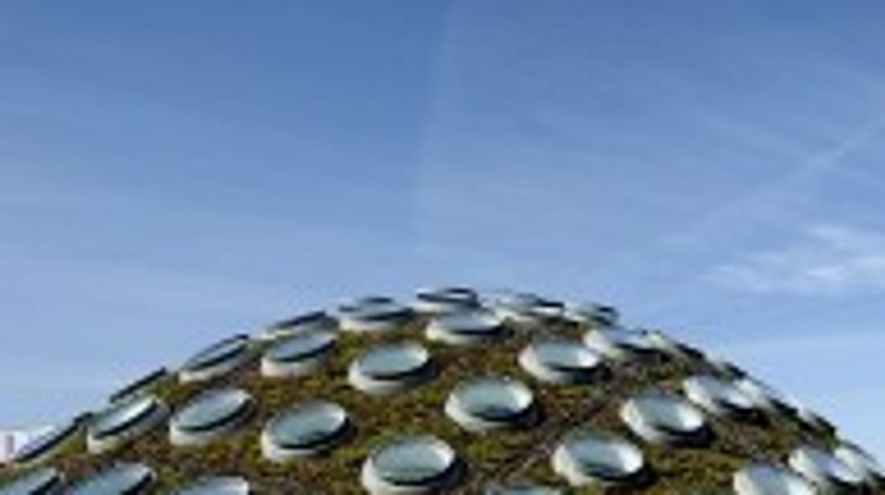 Walk This Way: The Greening Of Zoos