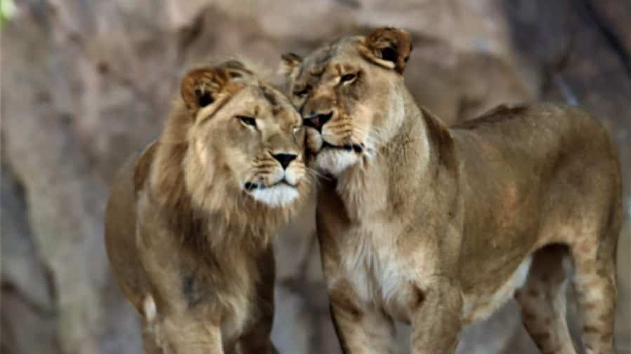 WAZA Annual Conference 2022