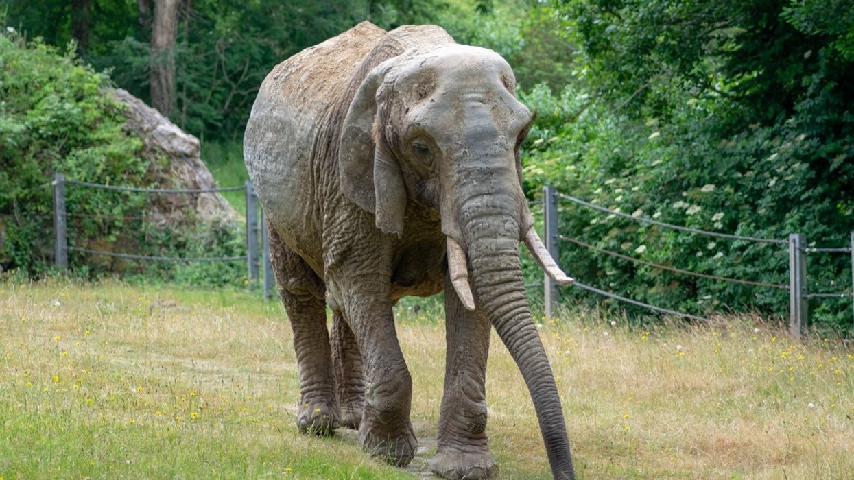 AZA Mid-Year Meeting 2024