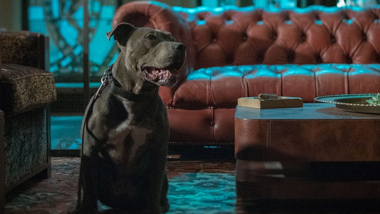 Immersive experiences at Hard Rock: John Wick and more