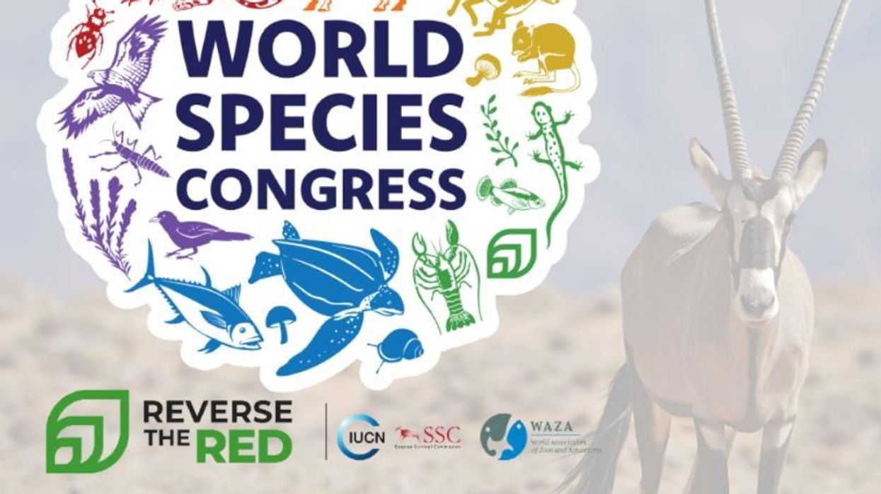World Species Congress 2024