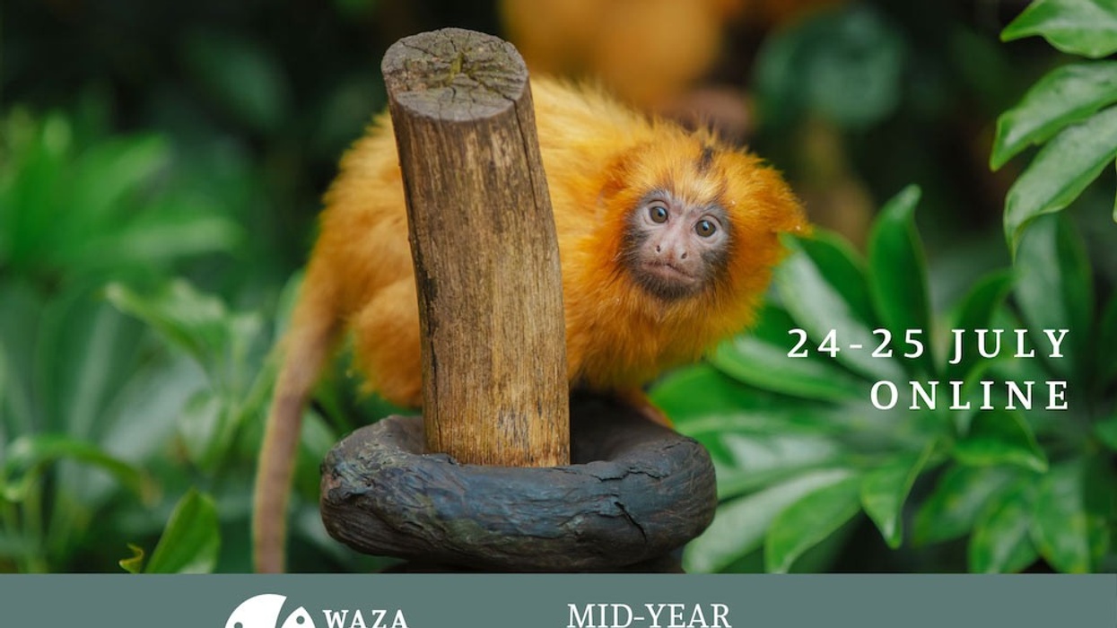 WAZA Mid-Year Meeting