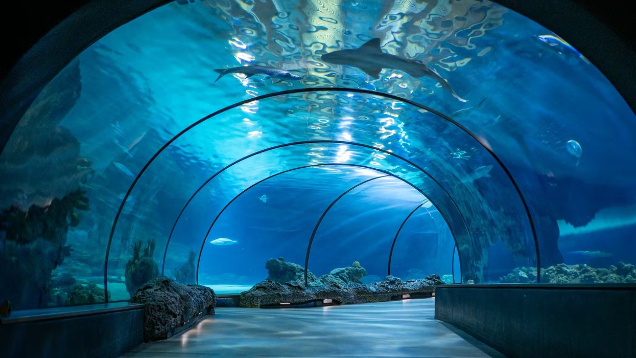 EUAC Conference 2024