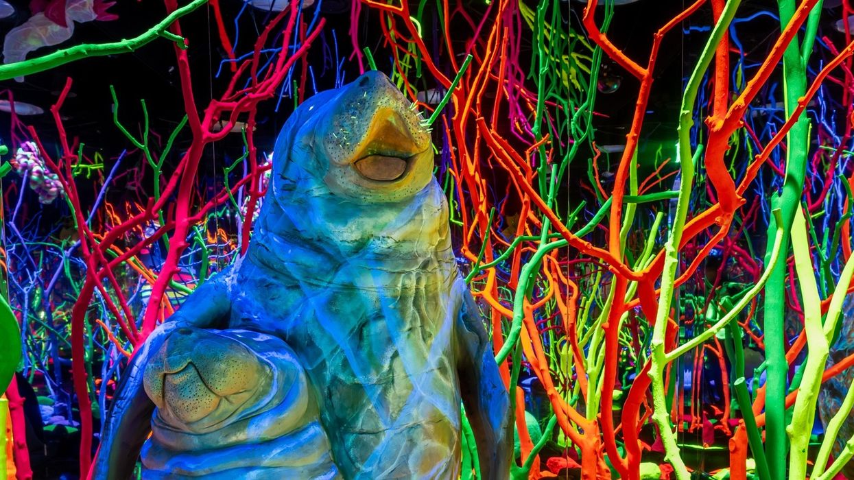 Painting the world Meow Wolf with Vinny Nicoletti