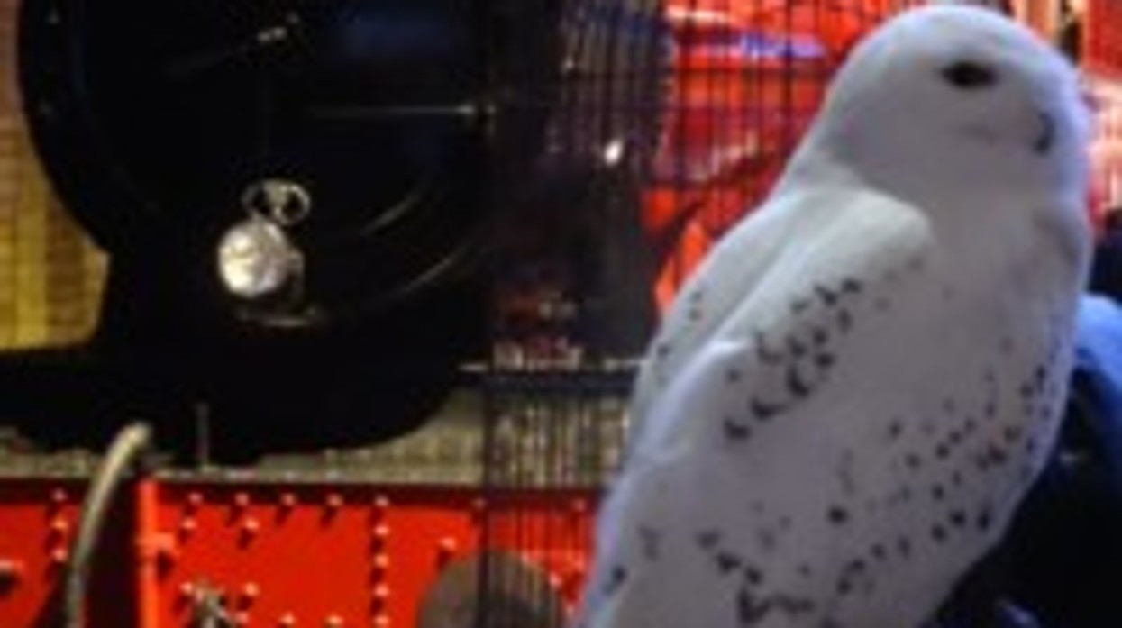 All Aboard the Hogwarts Express ' Photo Op on Platform 9 A?