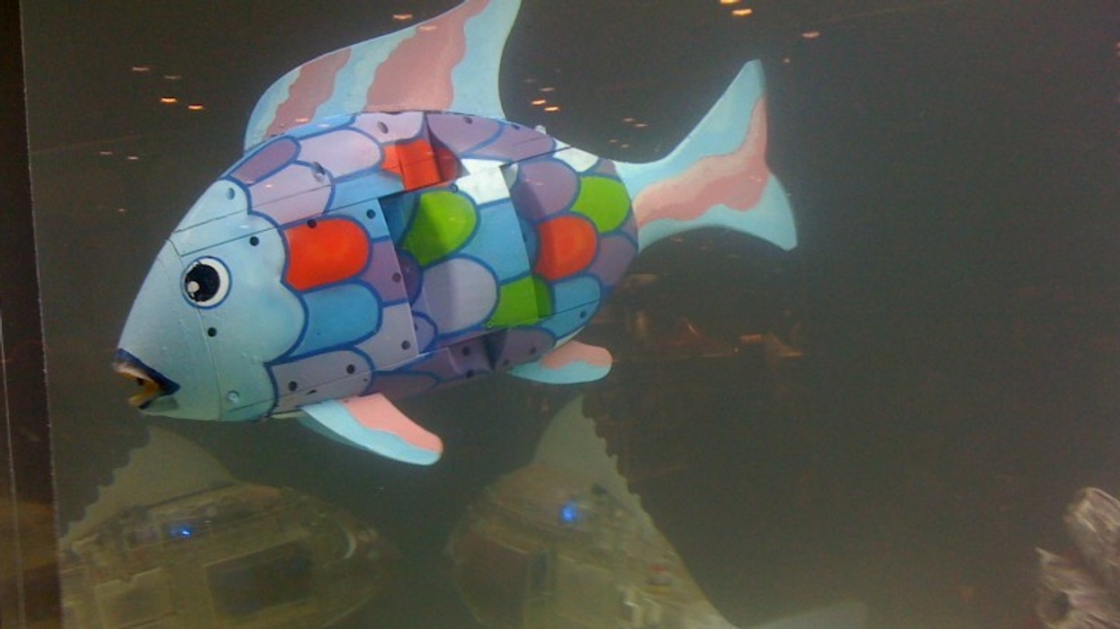Theme parks: Seen the Robot fish? IAAPA Thoughts.