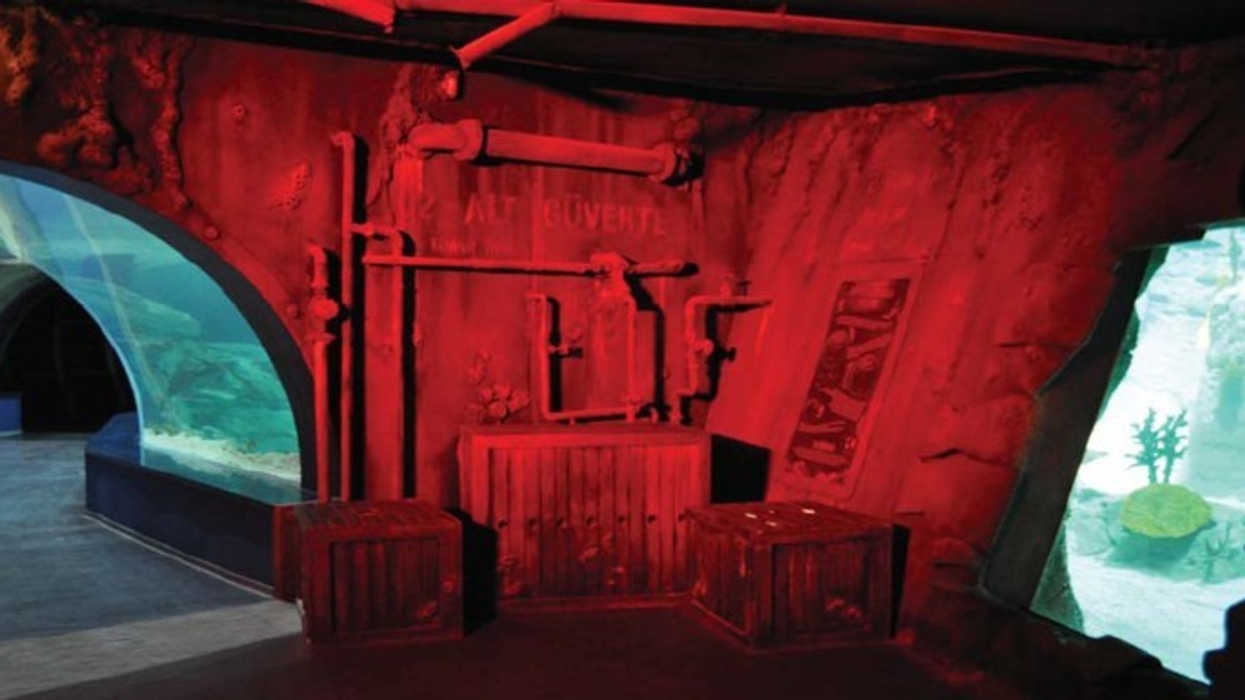 Paragon Creative News: Istanbul Aquarium, The Deep, The Tower of London, Rebuilding the Titanic and Ripleys