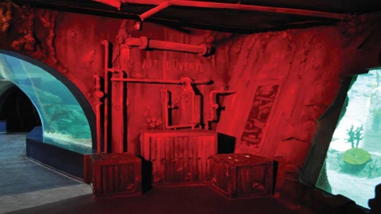 Paragon Creative News: Istanbul Aquarium,  The Deep,  The Tower of London,  Rebuilding the Titanic and Ripleys