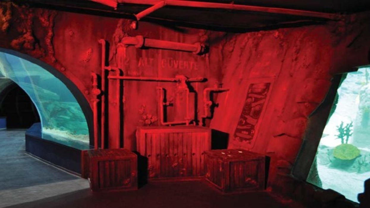 Paragon Creative News: Istanbul Aquarium, The Deep, The Tower of London, Rebuilding the Titanic and Ripleys