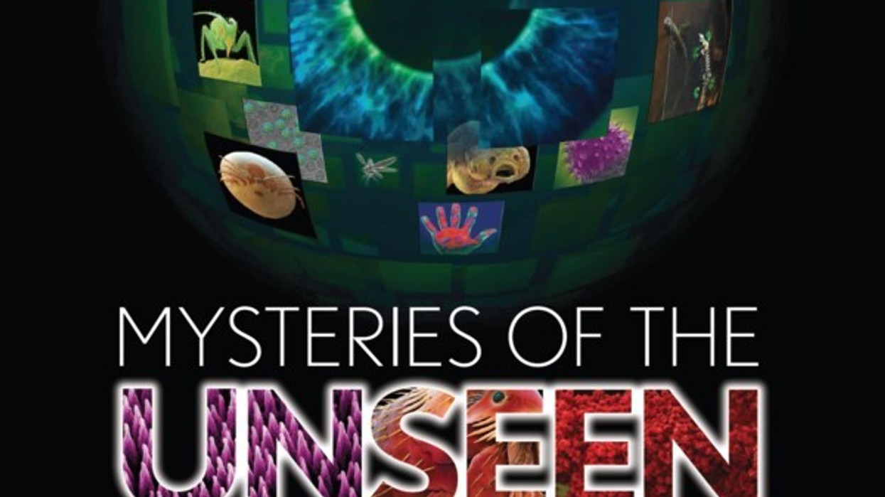 National Geographic Studios Wins Multiple Awards